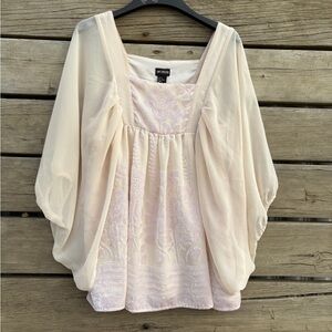 H&M Sheer Ivory Blush Embroidered Blouse